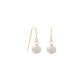 14 Karat Gold Cultured Freshwater Pearl French Wire Earrings